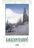 Hunyadi Csaba Zsolt - Karácsonyfaerdő