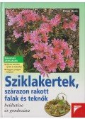 Peter Beck - Sziklakertek, szárazon rakott falak és teknők beültetése és gondozása
