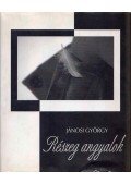 Jánosi György - Részeg angyalok