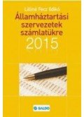 Lilliné Fecz Ildikó - Államháztartási szervezetek számlatükre 2015