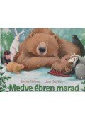 Karma Wilson , Jane Chapman - Medve ébren marad