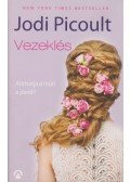 Jodi Picoult - Vezeklés