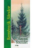 Reményik Sándor - Havasi feszület