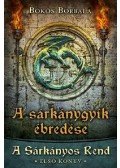 Bökös Borbála - A sárkánygyík ébredése - A Sárkányos Rend - Első könyv