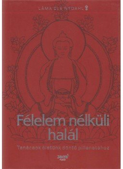 Láma Ole Nydahl - Félelem nélküli halál Láma Ole Nydahl - Félelem nélküli halál, Budapest 2014 antikvár könyv