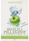 Szondy Máté - Megélni a pillanatot