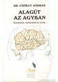 Dr. Csókay András - Alagút az agyban