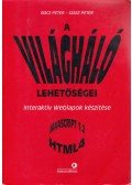 Bócz Péter,Szász Péter - A világháló lehetőségei