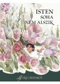 Sri Chinmoy - Isten soha nem alszik