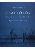 Fodor Péter - CSALLÓKÖZ REJTETT CSODÁI - ÜKH -2009