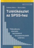 Barna Ildikó,Székelyi Mária - Túlélőkészlet az SPSS-hez - Többváltozós elemzési technikákról társadalomkutatók számára