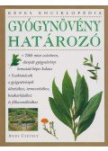 Andi Clevely - Gyógynövény-határozó