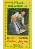 Dr. Bálint György - Kedves Húgom!