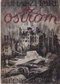 Juhászi Imre - Az ostrom