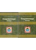 Dr. Zsilinszky Mihály - Csongrádvármegye története I-II.
