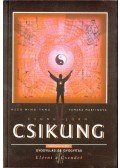 Ming-Tang, Hszü,Martinova, Tamara - Csung Jüan Csikung IV. - A felemelkedés iskolája (Második szint)