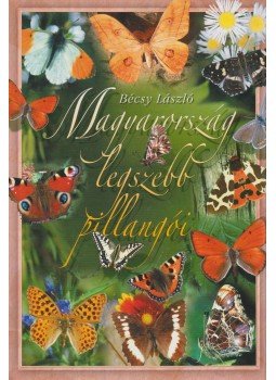 Bécsy László - Magyarország legszebb pillangói Bécsy László - Magyarország legszebb pillangói, Budapest 2005 antikvár könyv