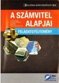Reizingerné Ducsai Anita,Baricz Rezső,Gyenge Magdolna,Joó Ágnes,Martin Kíra - A számvitel alapjai - feladatgyűjtemény