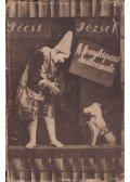 Pécsi József - A fényképező művészete