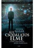 Sylvia Nasar - Egy csodálatos elme