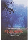 Banana Yoshimoto - Félelmeink