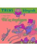F. Nagy Gábor - Túl az üveghegyen