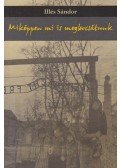 Illés Sándor - Miképpen mi is megbocsátunk