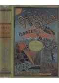 Verne Gyula - Az úszó sziget