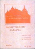 Radisics Jenő - A porczellán és története