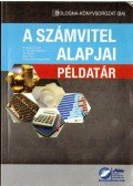 Reizingerné Ducsai Anita,Dr. Baricz Rezső,Gyenge Magdolna,Joó Ágnes,Martin Kíra - A számvitel alapjai - példatár