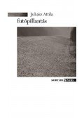 Juhász Attila - Futópillantás