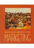 Bauer András,Berács József - Marketing