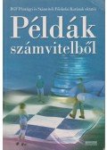 Sztanó Imre Dr. - Példák számvitelből