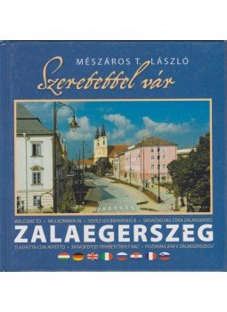 Dr. Vándor László - Szeretettel vár Zalaegerszeg Dr. Vándor László - Szeretettel vár Zalaegerszeg, 2003 antikvár könyv