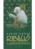 Desai, Kiran - Ribillió a gyümölcsösben