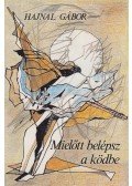 Hajnal Gábor - Mielőtt belépsz a ködbe