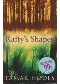Hodes, Tamar - Raffy's Shapes