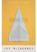 McInerney, Jay - Brightness Falls