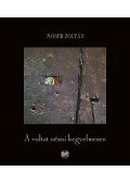 Móser Zoltán - A voltat nézni kegyelmesen