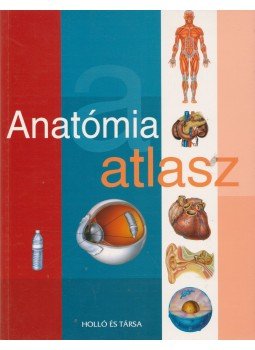 Vincze Zsuzsa (szerk.) - Anatómia atlasz Vincze Zsuzsa (szerk.) - Anatómia atlasz, Kaposvár 2000 antikvár könyv
