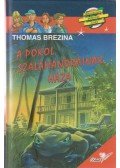 Thomas Brezina - A pokol szalamandráinak háza