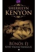 Sherrilyn Kenyon - Bűnös éj