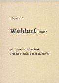 Mezei Ottóné dr. - Járjak-e a Waldorf-úton?