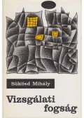 Sükösd Mihály - Vizsgálati fogság