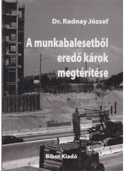 Dr. Radnay József - A munkabalesetből eredő károk megtérítése Dr. Radnay József - A munkabalesetből eredő károk megtérítése, 2006 antikvár könyv