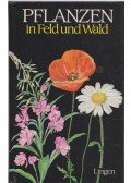 Slavík, Bohumil - Pflanzen in Feld und Wald