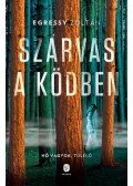 Egressy Zoltán - Szarvas a ködben