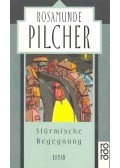 Rosamunde Pilcher - Stürmische Begegnung