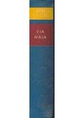 John Knittel - Via Mala