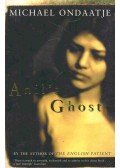 Michael Ondaatje - Anil's Ghost